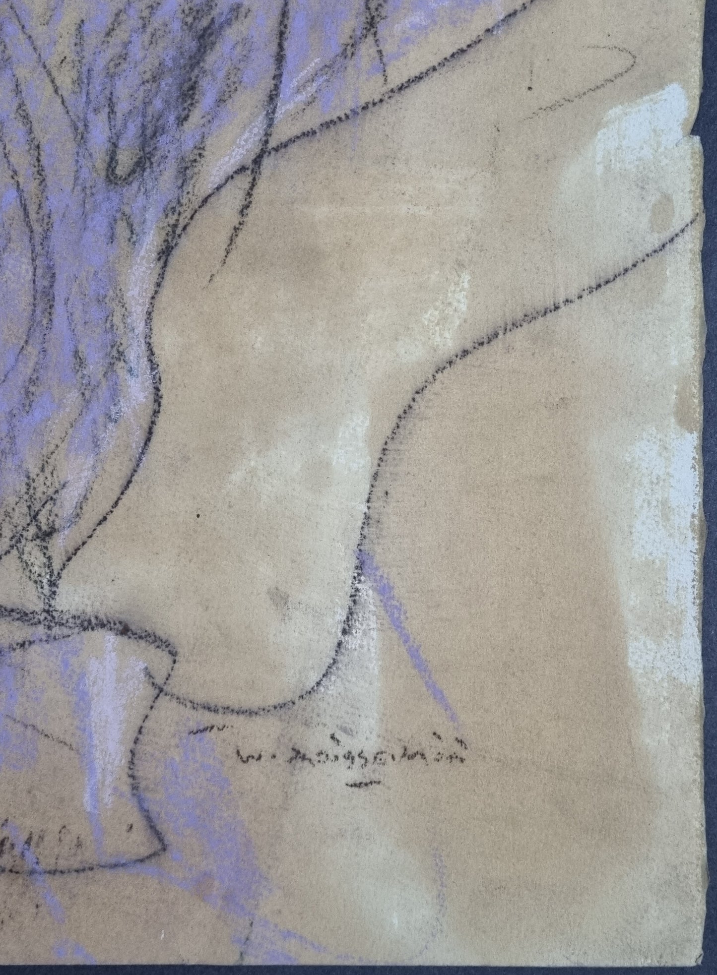 Wim Boissevain - Brunette Nude